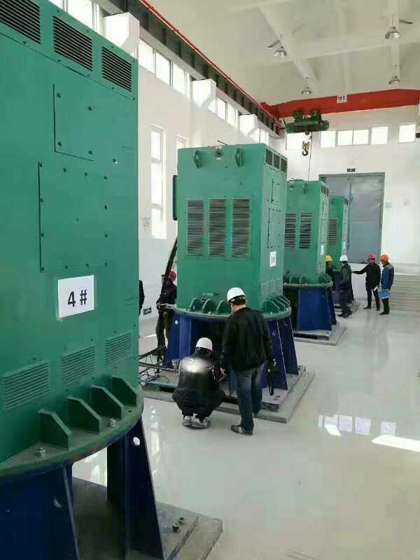 神农架某污水处理厂使用我厂的立式高压电机安装现场生产厂家